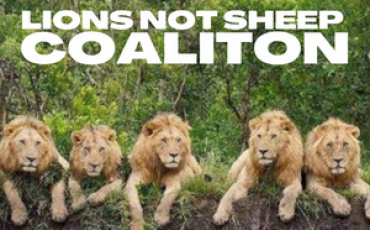 LIONS NOT SHEEP
