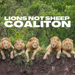 LIONS NOT SHEEP